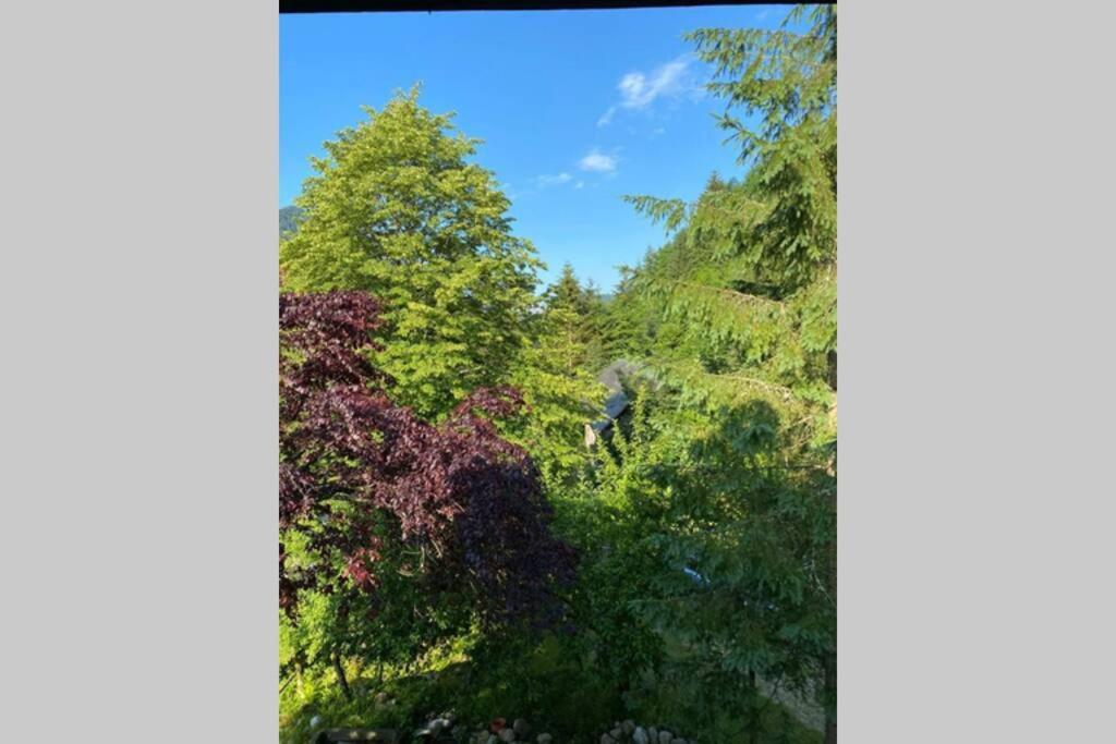 Ferienhaus Blommers Palfau Exterior foto